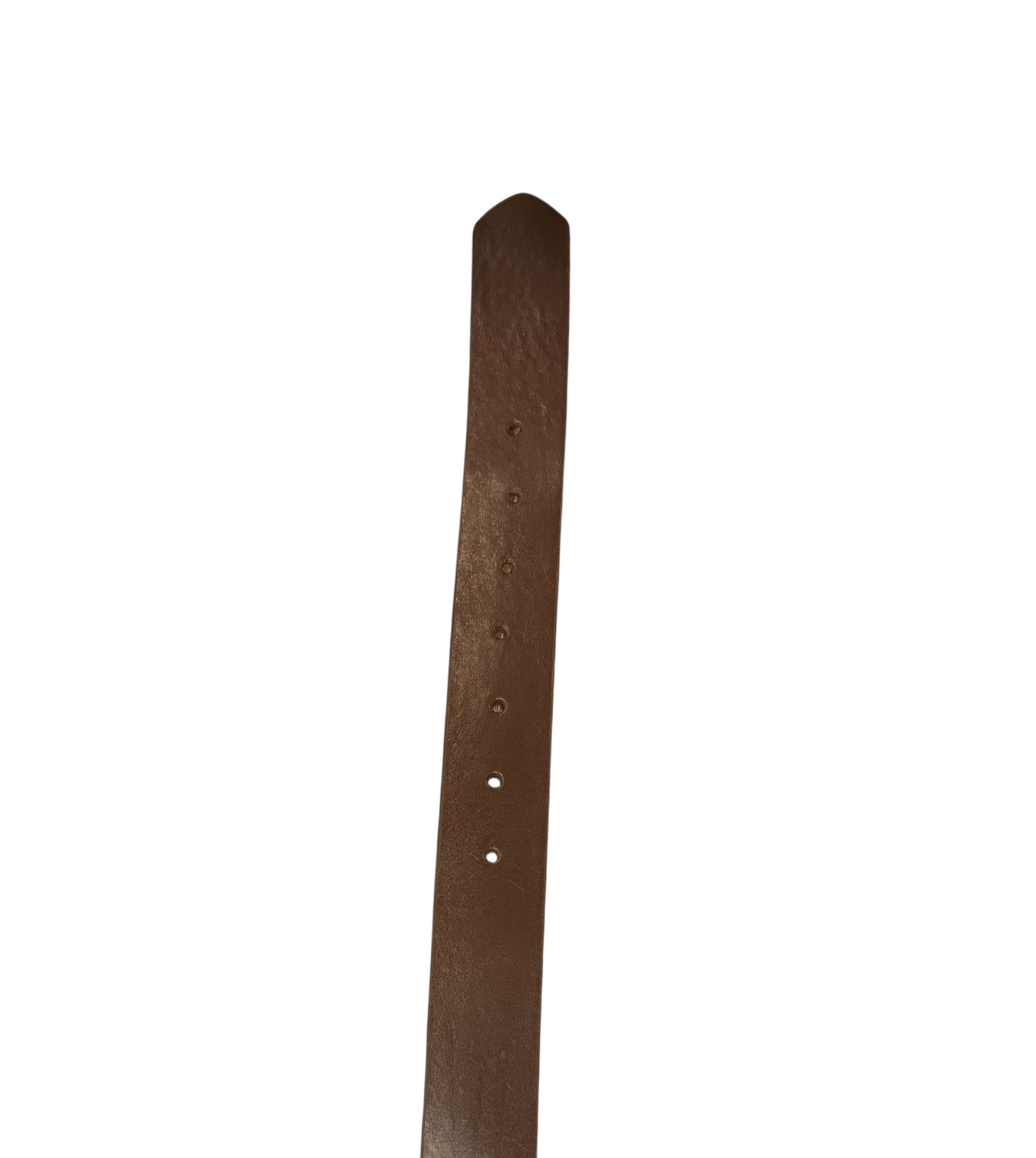 Cintos Castanho Desportivo Liso